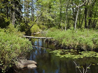 Stream along the Yarmouth Rail Trail
