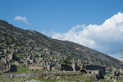Anemurium 7319.jpg