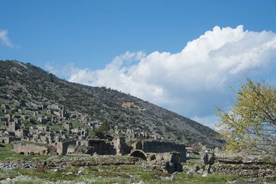Anemurium 7320.jpg