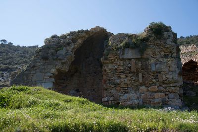 Anemurium 7334.jpg