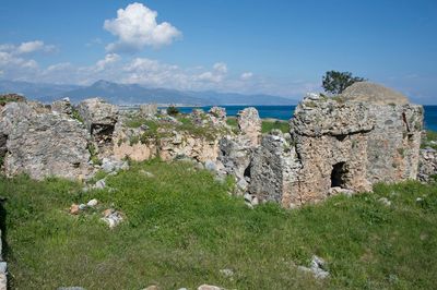 Anemurium 7336.jpg