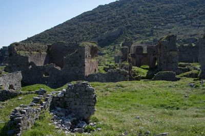 Anemurium 7343.jpg