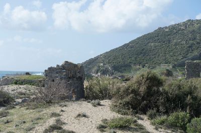 Anemurium 8770.jpg