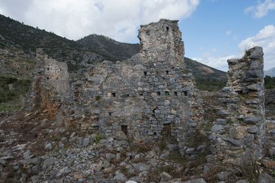 Anemurium 8791.jpg