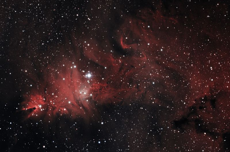 NGC 2264 