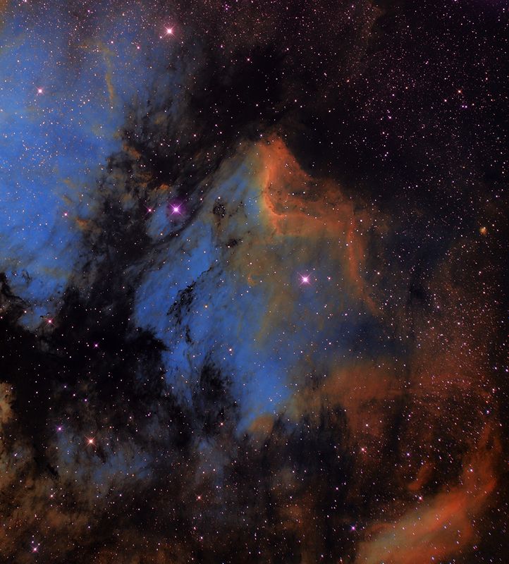 IC 5070 Pelikan - Nebel