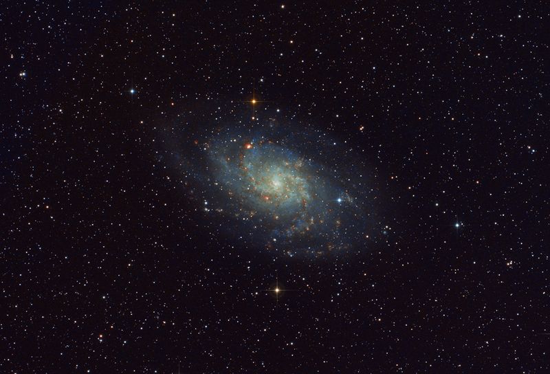 M 33 