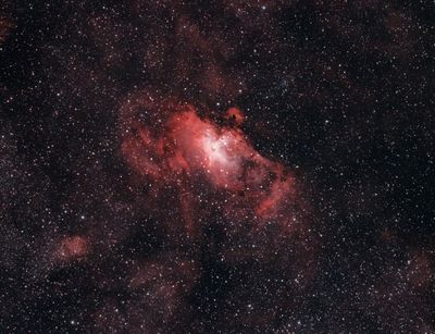 M 16 Adler Nebel