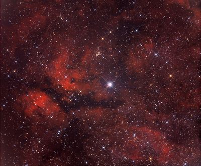 IC 1318 