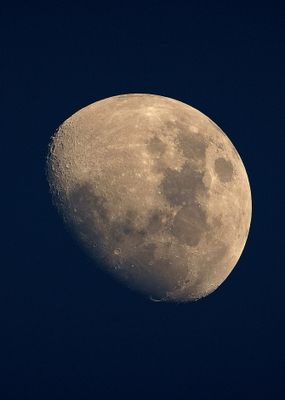 Mond 