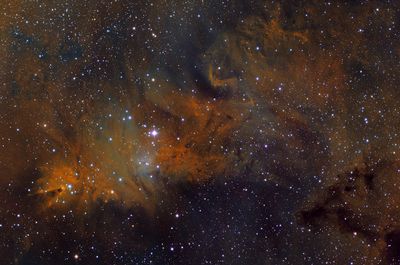 NGC 2264 