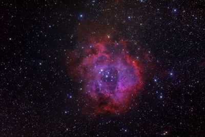 NGC 2244
