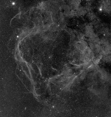 RCW 114 Drachenherz