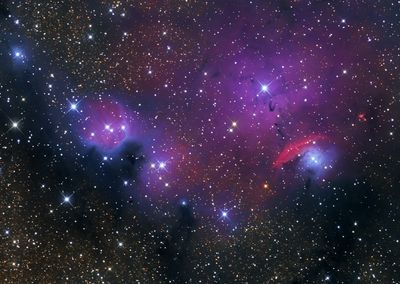 NGC 6559