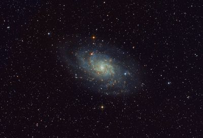 M 33 
