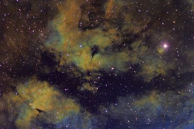 IC 1318 - Schmetterlings-Nebel mit Stern Sadr
