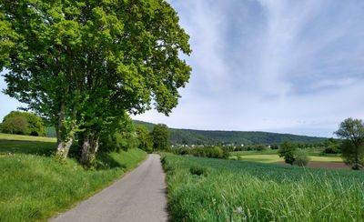 07/05/2023: Oberbronn again