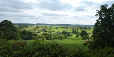 2024/08/20: View from Offwiller
