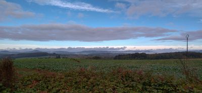 2024/10/19: Avant la descente vers Mietesheim.