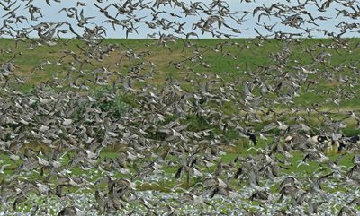 Normerpolder hoogwatervluchtplaats