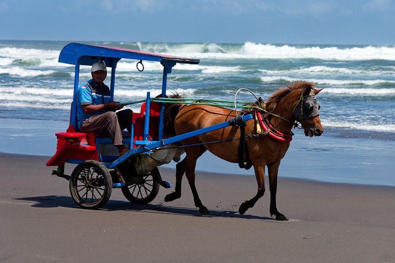 Parangtritis Beach