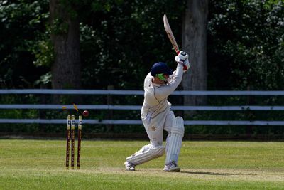 DSC_4786 Bowled by a yorker