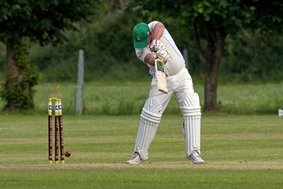DSC_5058 Bowled by a yorker