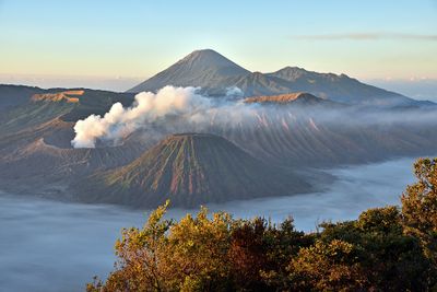 Indonesia 2024 - Root Gallery
