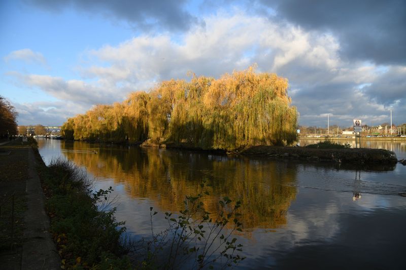 DSC_0093.jpg
