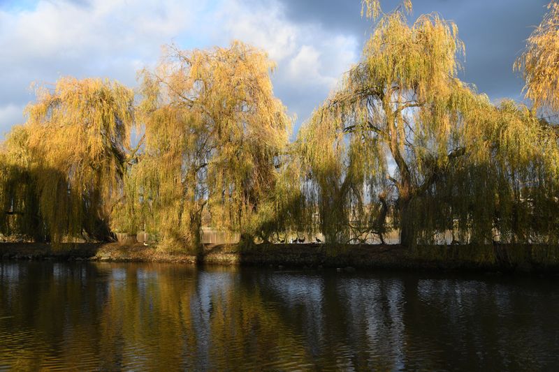 DSC_0096.jpg