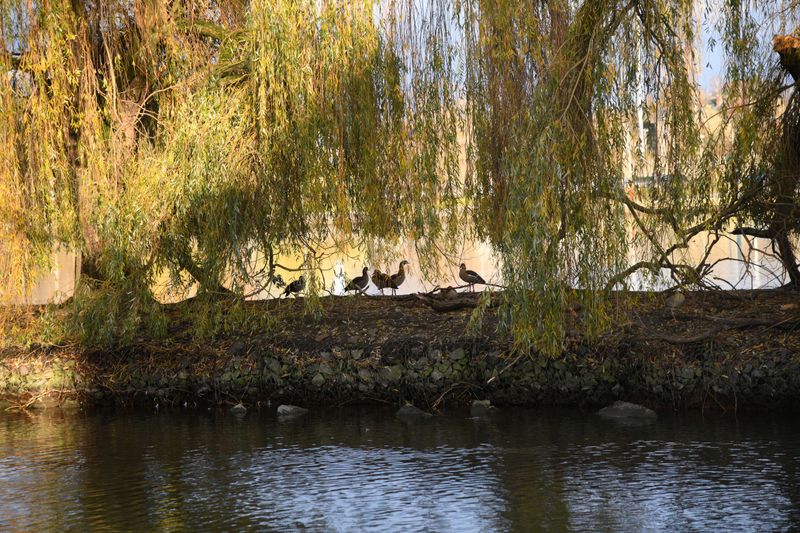 DSC_0098.jpg