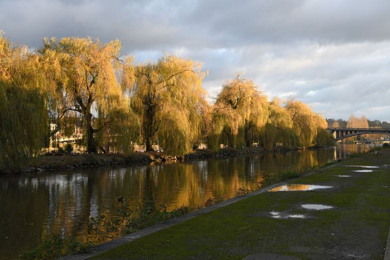 DSC_0117.jpg