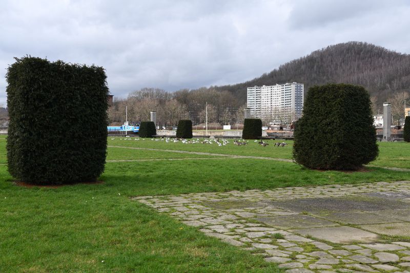 DSC_0747.jpg