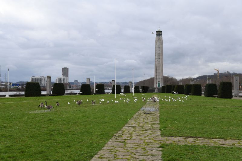 DSC_0751.jpg