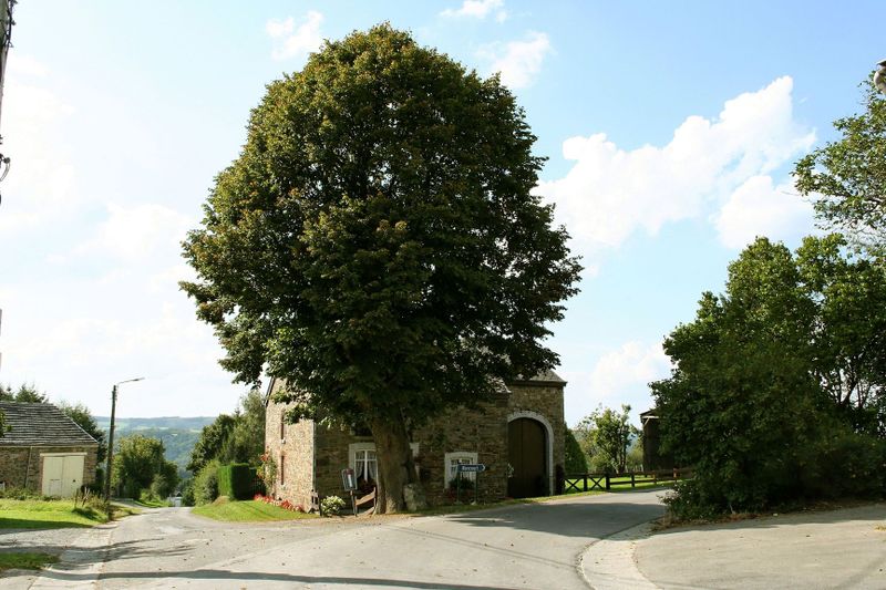 2005_09_07__7.jpg