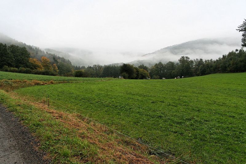 2005_10_02__44.jpg