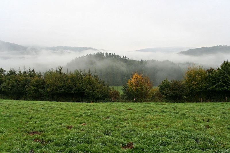 2005_10_02__46.jpg