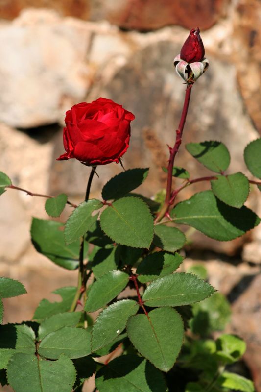 2005_10_06__6.jpg
