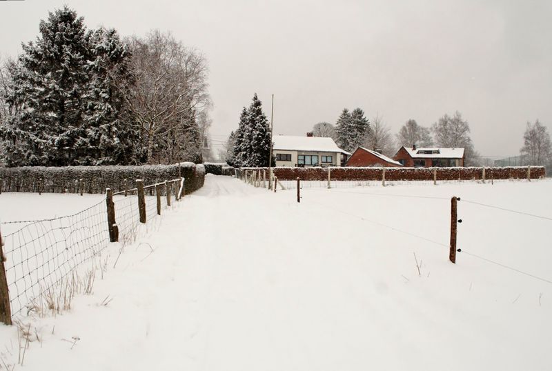 2006_03_03__14.jpg