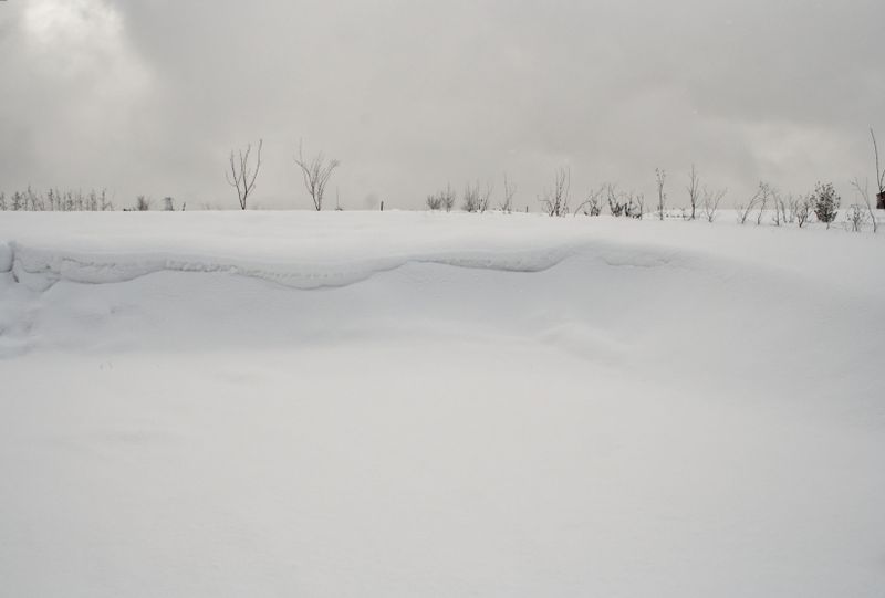 2006_03_03__18.jpg