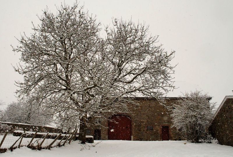 2006_03_03__3.jpg