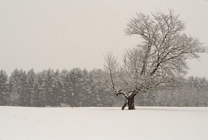 2006_03_03__4.jpg