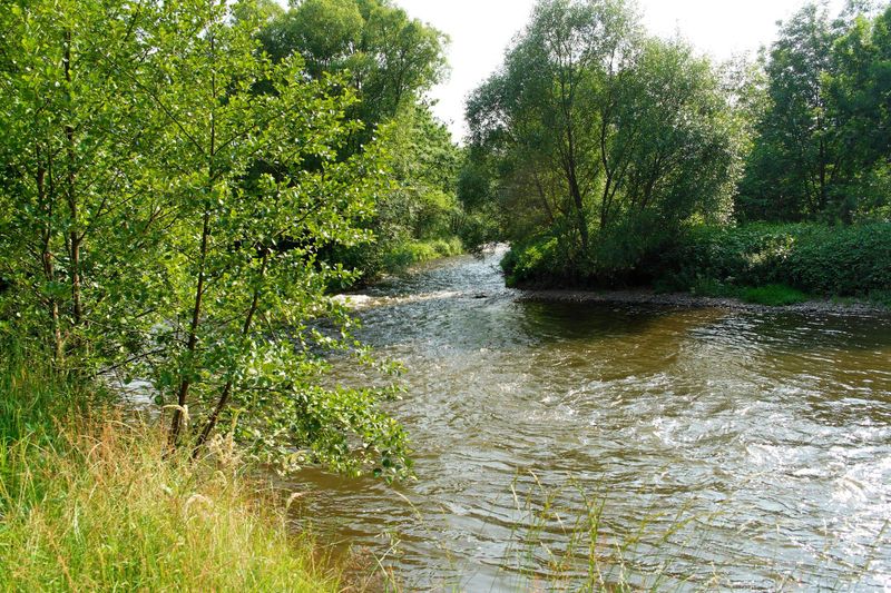2006_06_28__12.jpg