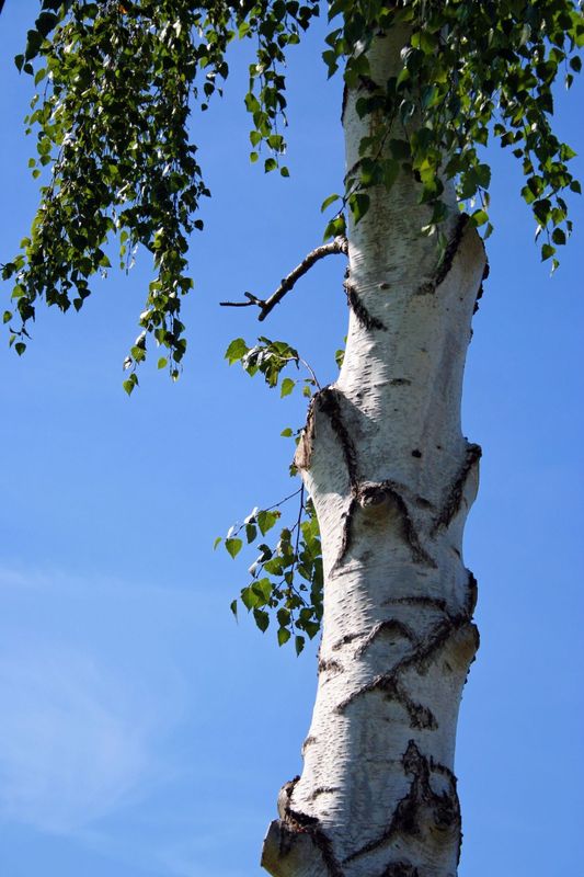 2006_09_09__6.jpg