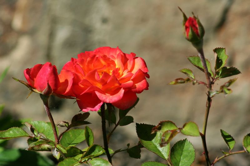 2006_09_09__8.jpg