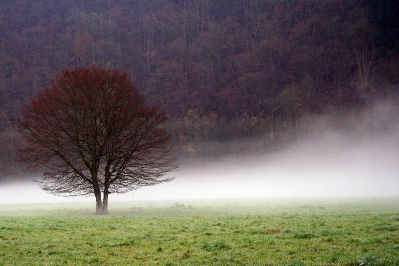 2006_11_28__1.jpg