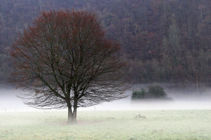 2006_11_28__4.jpg