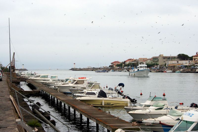 2012_08__04.jpg