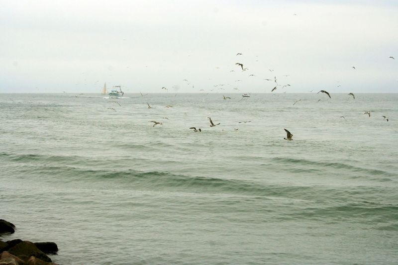 2012_08__12.jpg