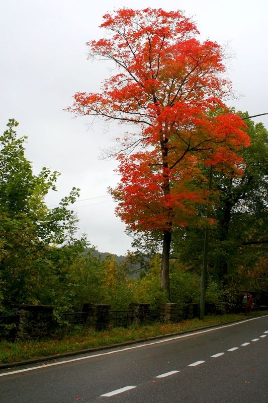 2012_09_26__1.jpg